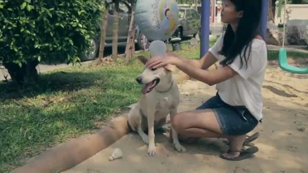 the dreaming dog unidog2