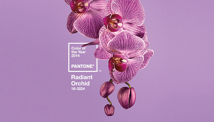 pantone color year 2014