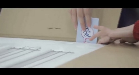 Gome Love delivery box JWT2