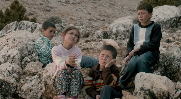 Turkish Airline When dreams igdir airport2