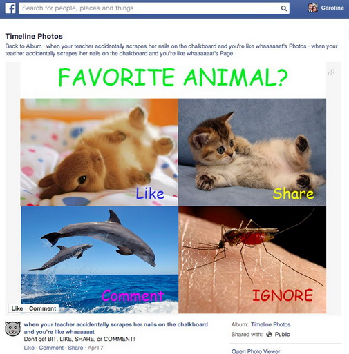 facebook-news-feed2