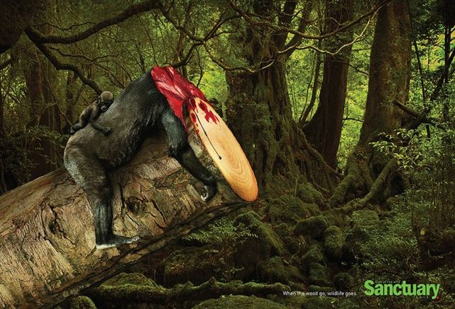 Shocking-Print-Ads-Deforestation-gorilla