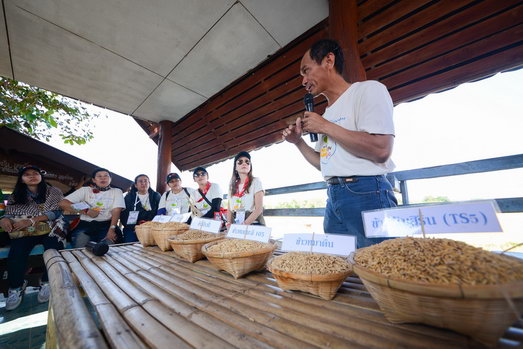 สถานี “พันธุ์ข้าว เรื่องราวที่เรียนรู้ไม่รู้จบ” 31