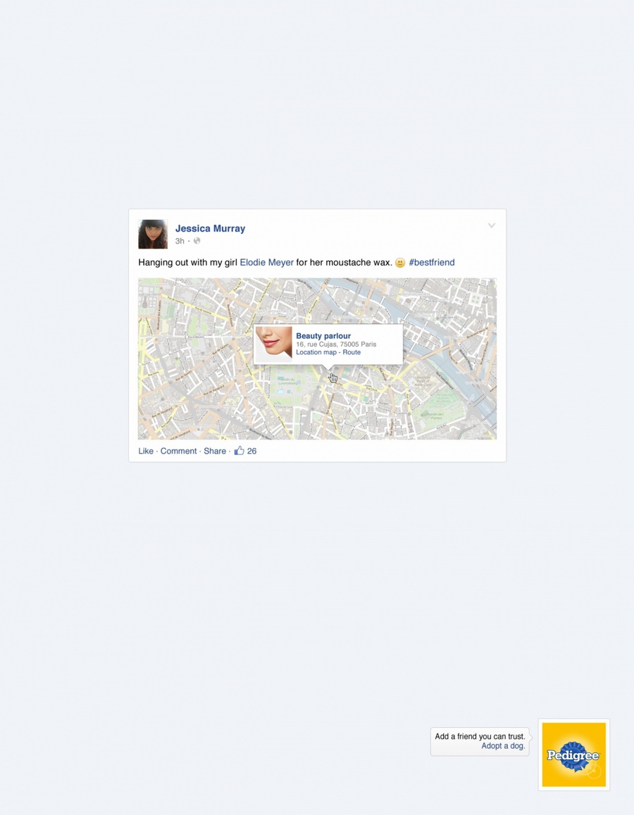 pedigree-real-friend-1