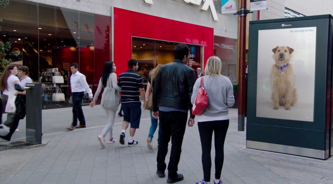 Battersea Dogs billboard