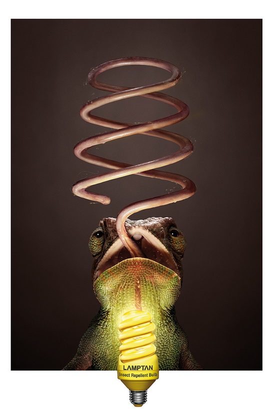 lamptan-chameleon om