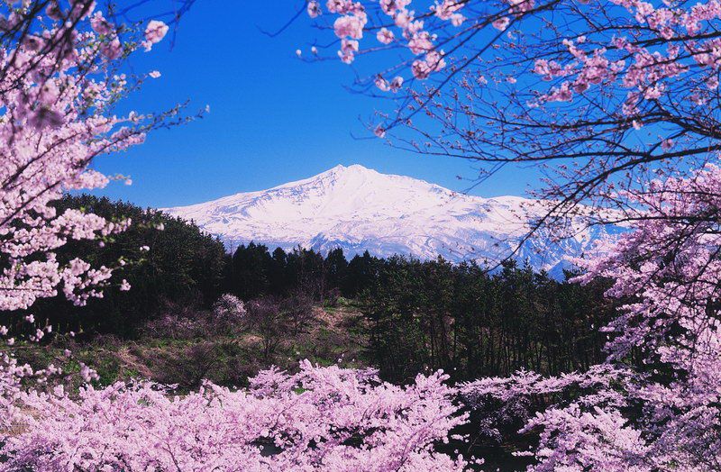 Resize Spring akita- Mt Chokaisan-crop
