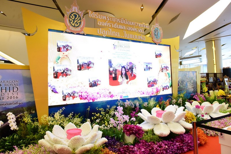 siam paragon royal flower 2016 ดอกไม้3