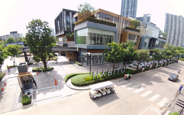 habito mall sansiri 1