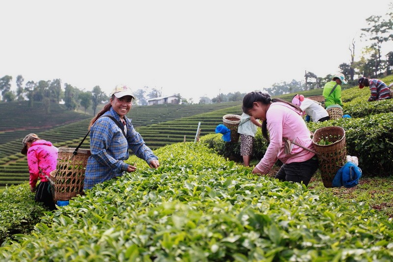 ichitan csr give back