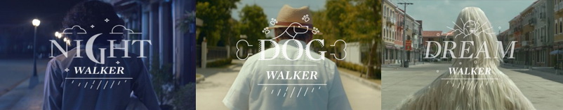 sc asset walk with a