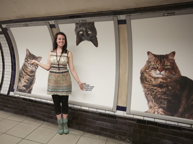cat advertising subway2