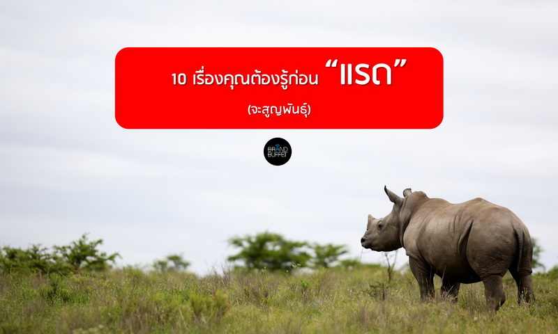 %e0%b8%a7%e0%b8%b1%e0%b8%99%e0%b9%81%e0%b8%a3%e0%b8%94%e0%b9%82%e0%b8%a5%e0%b8%81-rhino