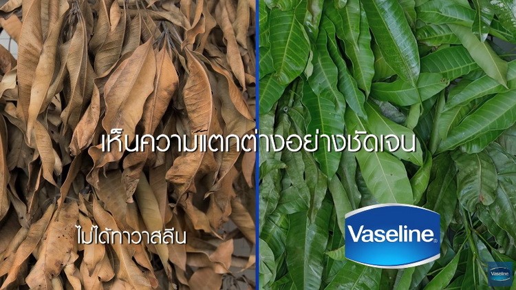 vaseline-post-billboard2