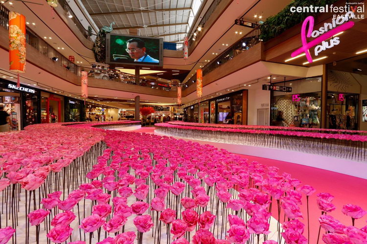 cpn-chinese-new-year-2017