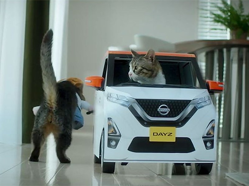 cat cafe nissan dayz mocha japan