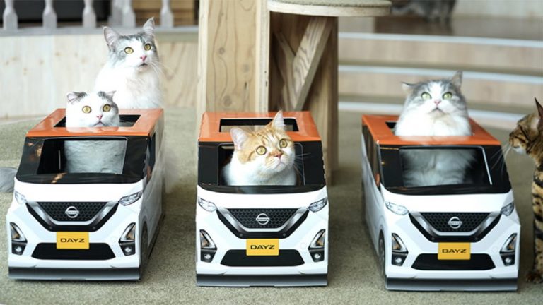 nissan days cat cafe advertise นิสสัน