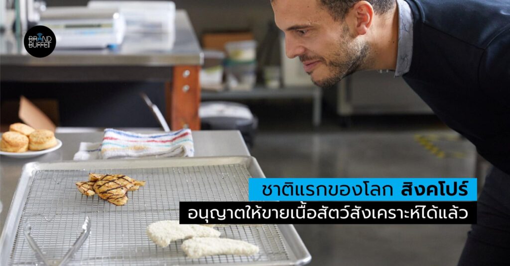 eat just nugget เนื้อสัตว์สังเคราะห์