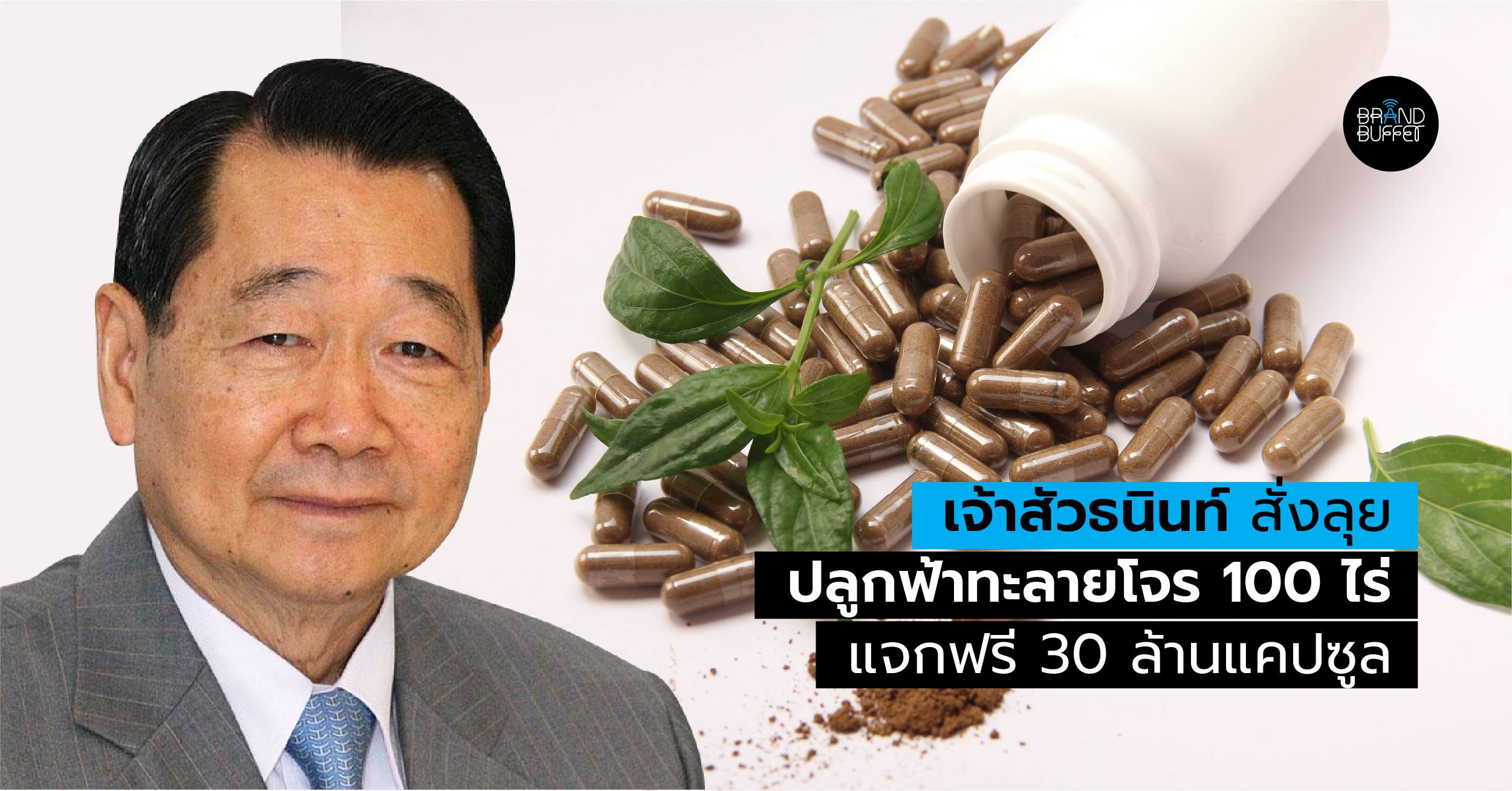 cp free andrographis paniculata cover