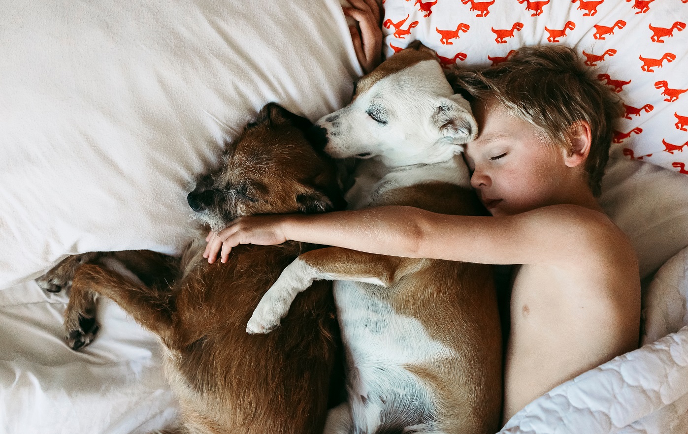 shutterstock_sleep bed sheet