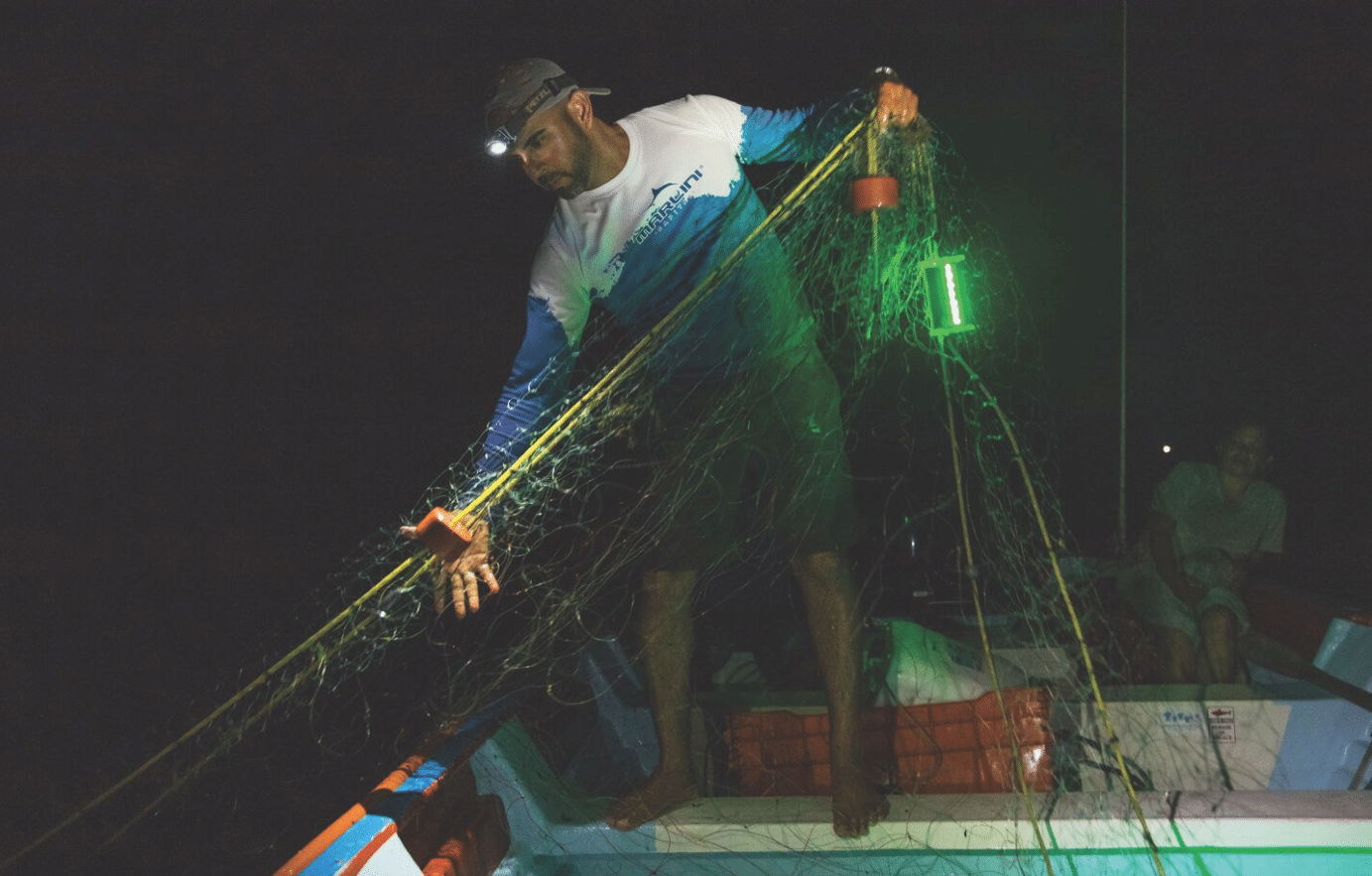 illuminated net save sealife 02