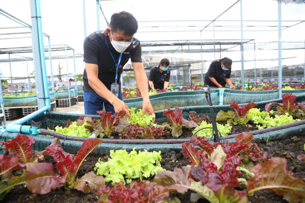 Impact Sustainable Meeting