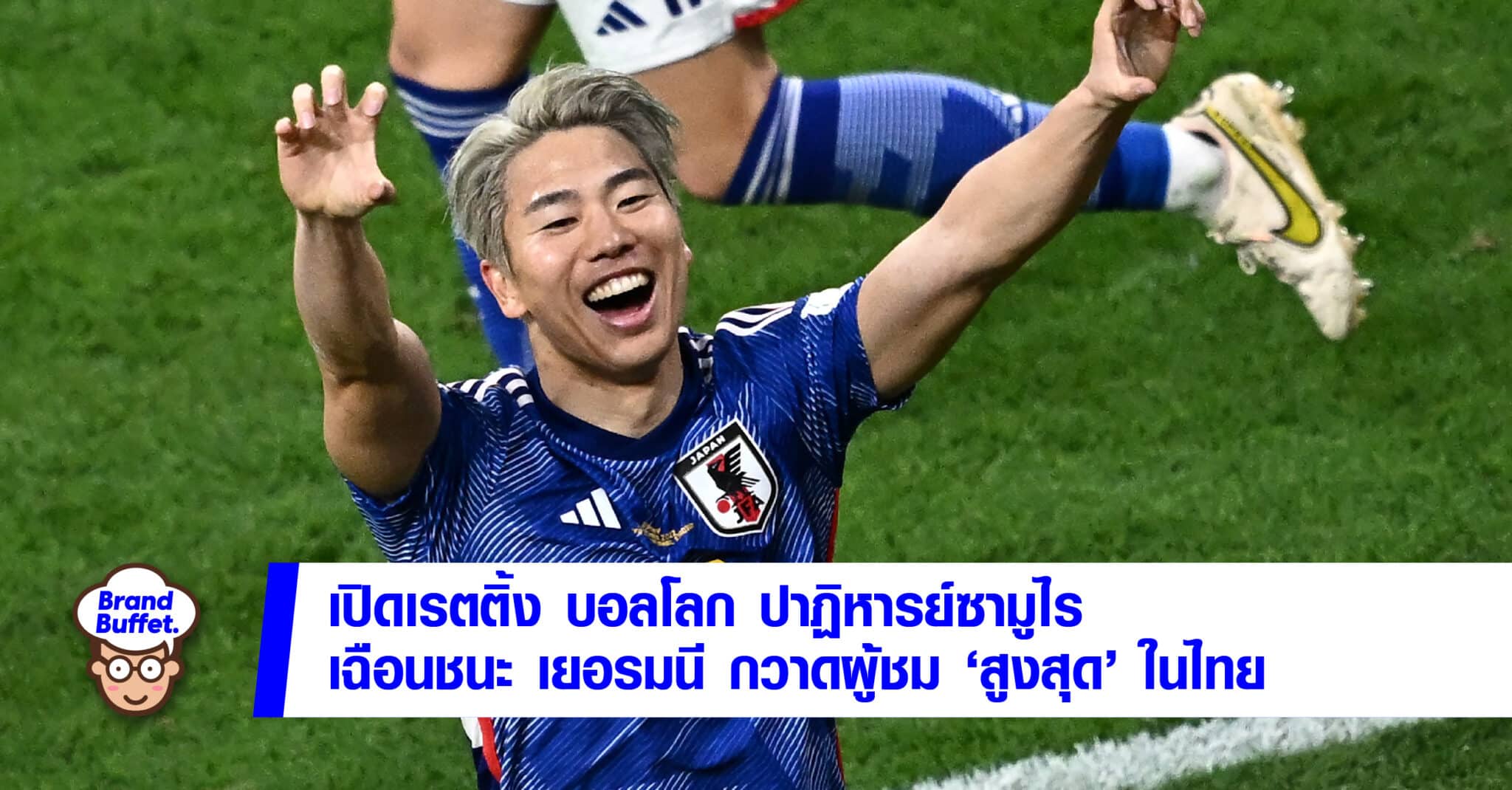 World Cup TV ratting