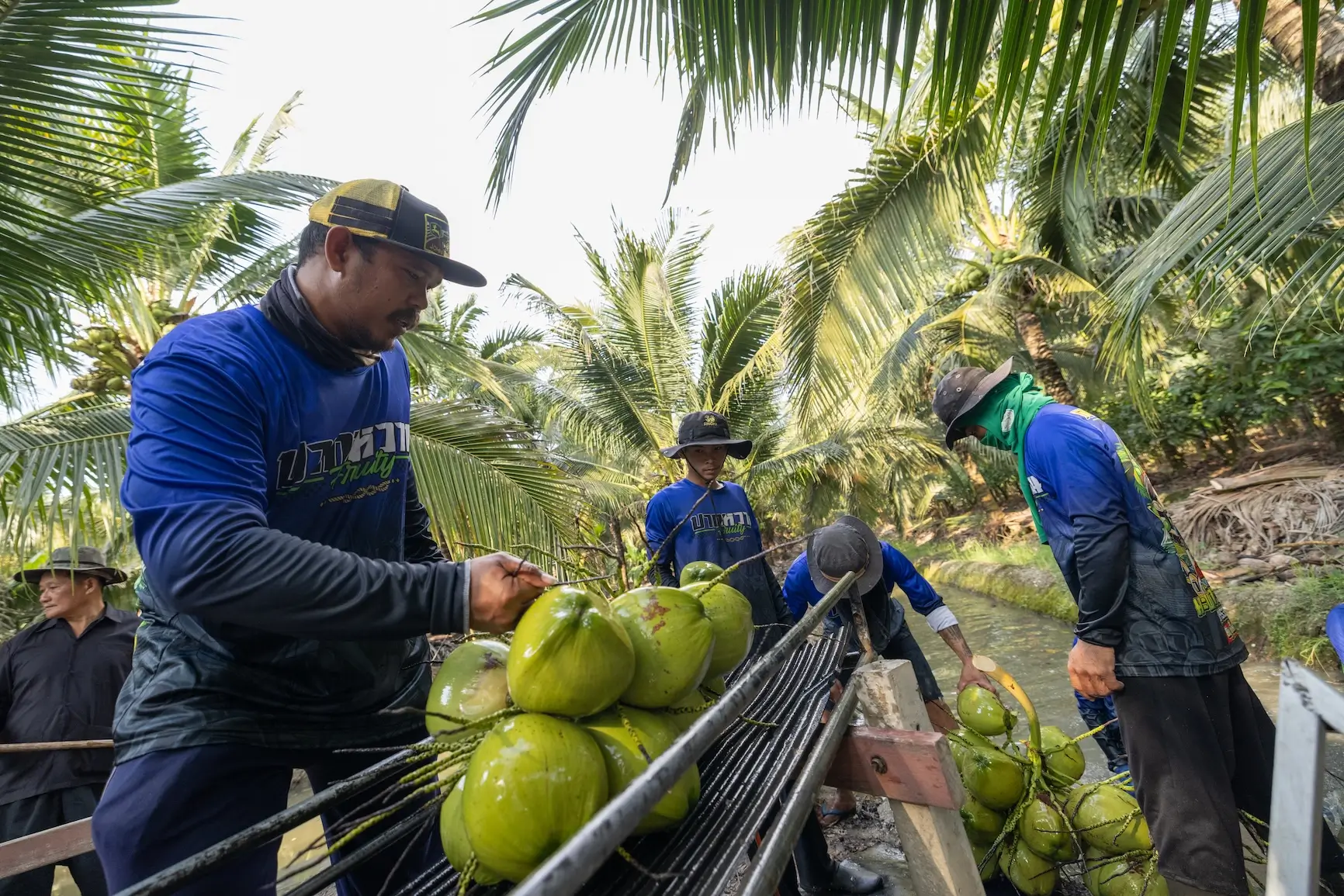 ซีพี ออลล์
